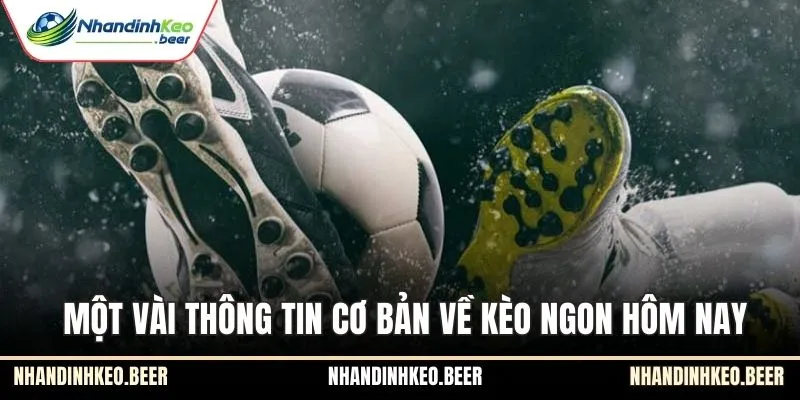 Một vài thông tin cơ bản về kèo ngon hôm nay